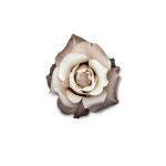 Tantor Audio Historical France Biographies Unabridged-0