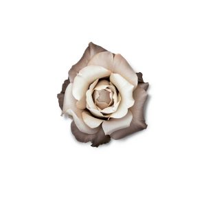 Tantor Audio Historical France Biographies Unabridged-0